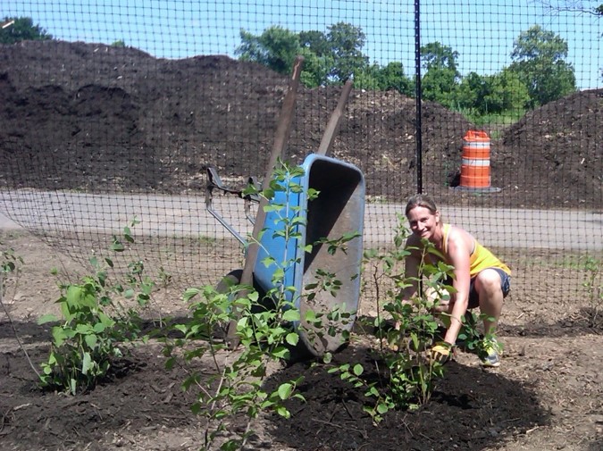 Restoring wildlife habitat